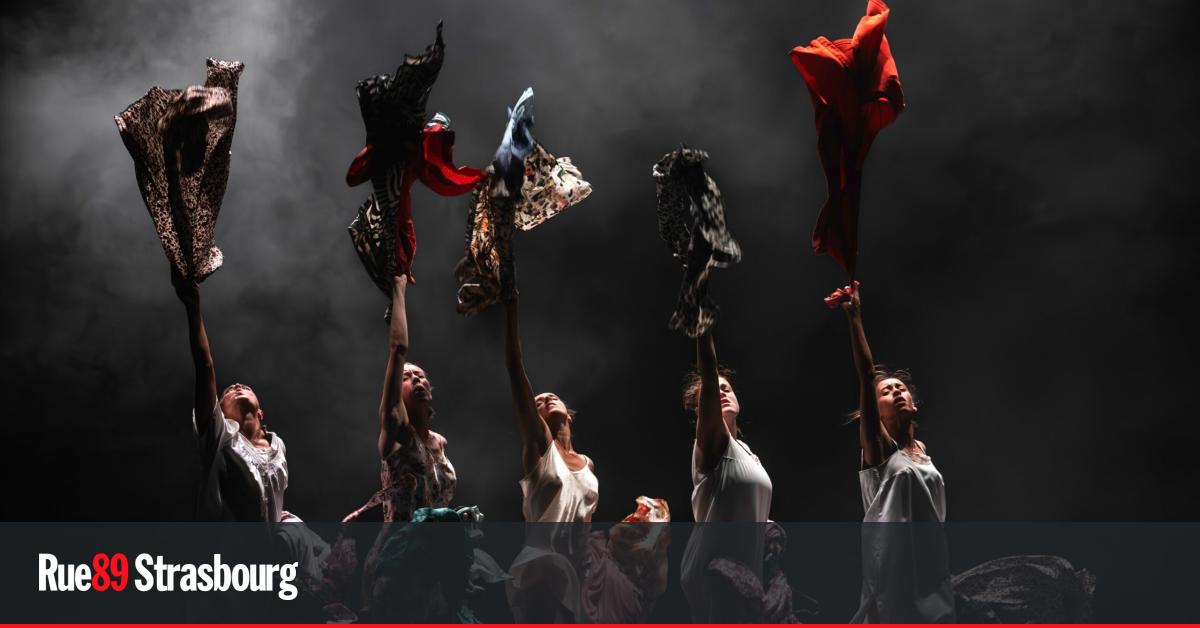 Trois festivals et des spectacles qui feront vibrer en janvier à Strasbourg