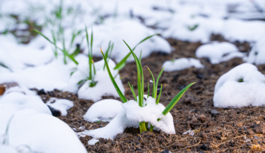 Pourquoi il ne faut plus jardiner le 13 janvier après 16 h 35