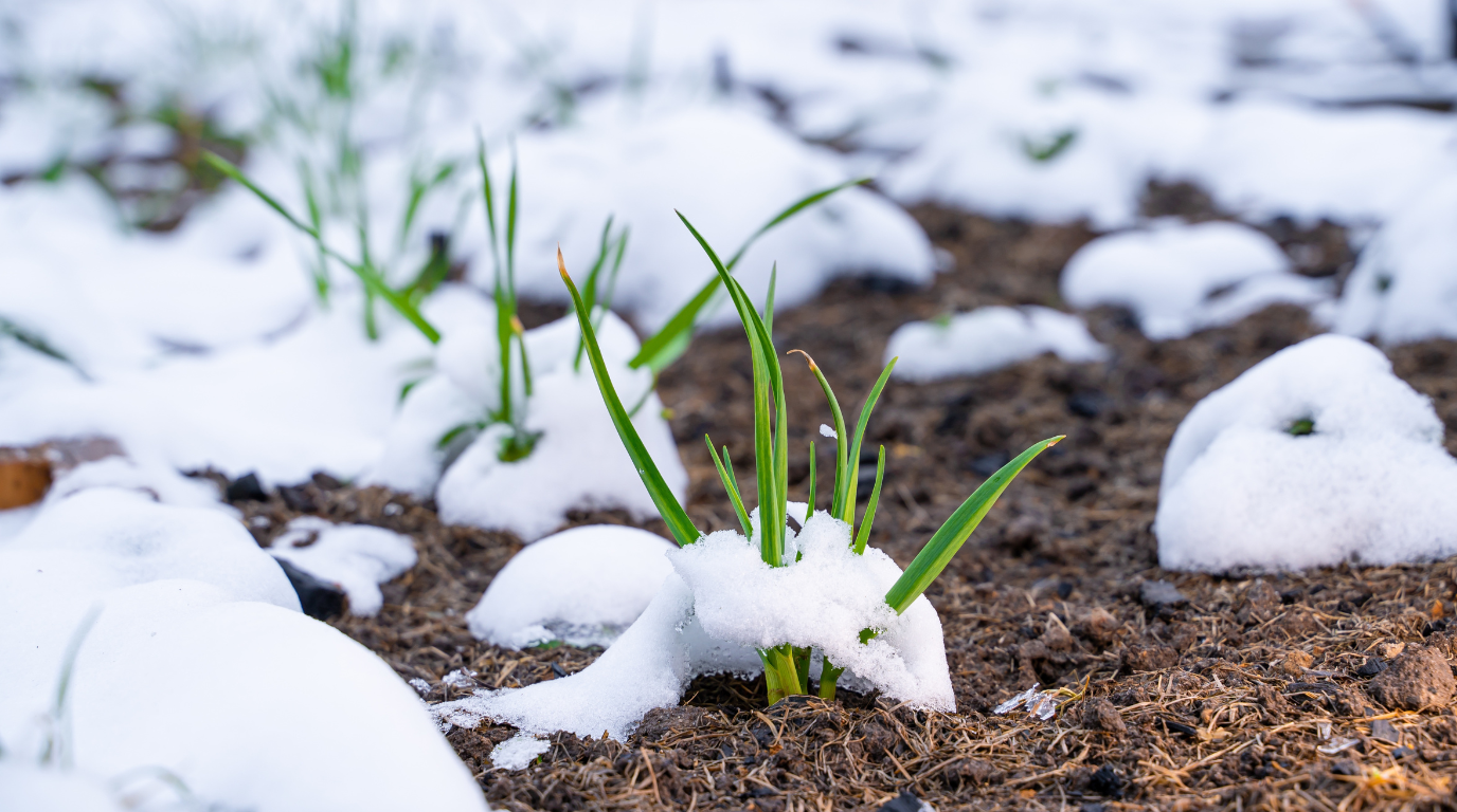 Pourquoi il ne faut plus jardiner le 13 janvier après 16 h 35