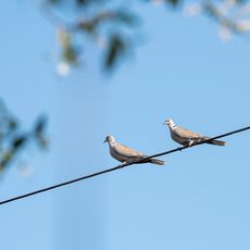 Getty Images/iStockphoto