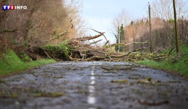 EN DIRECT - Tempête Goretti : 82 000 foyers privés d'électricité, deux départements maintenus en vigilance orange vent