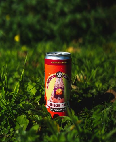 r kombutcha capture d’écranIMG_2963