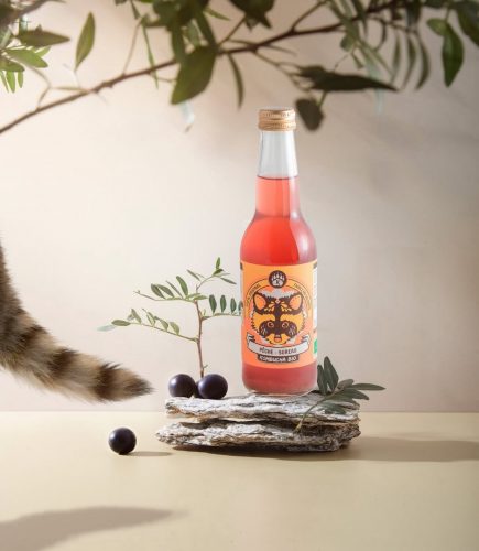 r kombutcha capture d’écranIMG_2967 2