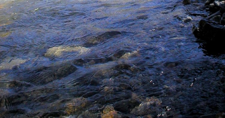 Île-de-France : le Plan Baignade se prépare avant l'été !