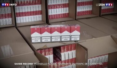 Saisie record : Marseille plaque tournante du trafic de cigarettes