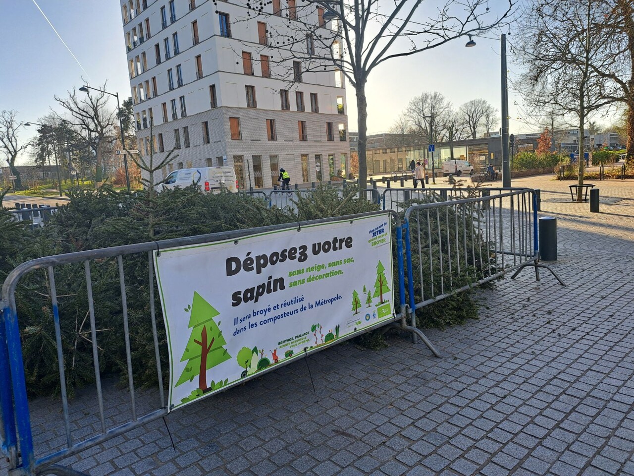 après les fêtes, voici où déposer son sapin de Noël pour lui donner une seconde vie