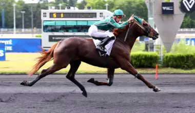 Quinté+: Quinté+ du dimanche 18 janvier à Vincennes : L'année de Jéroboam d'Erable ?