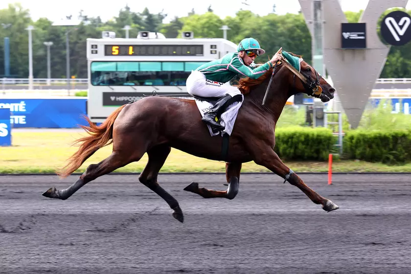 Quinté+: Quinté+ du dimanche 18 janvier à Vincennes : L'année de Jéroboam d'Erable ?