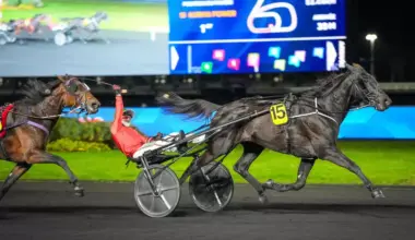 Quinté+: Quinté+ du samedi 3 janvier à Vincennes : Le grand 7 pour Karma Power ?
