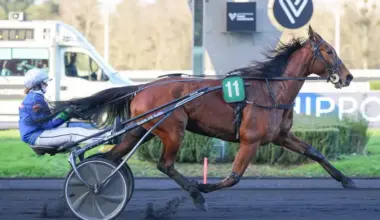 Quinté+: Quinté+ du lundi 5 janvier à Vincennes : Jamaica Brown peut doubler la mise