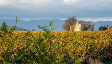 sa magnifique maison dans le Lot-et-Garonne