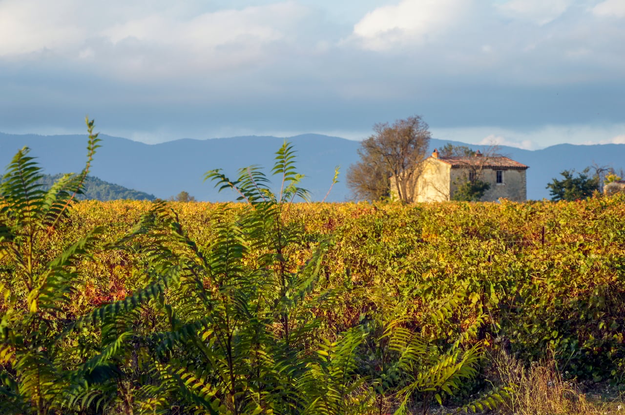 sa magnifique maison dans le Lot-et-Garonne