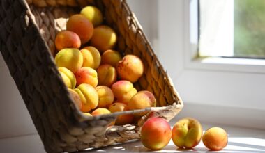 Pesticides dans l’assiette, 93 % de ce fruit destiné aux enfants posent problème