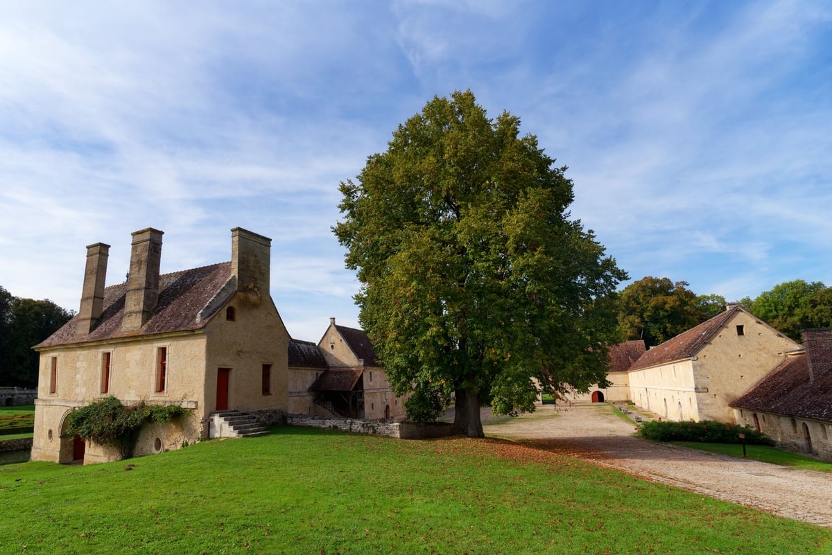« J'ai des poules de compet' ! », sa magnifique maison de campagne dans le Perche