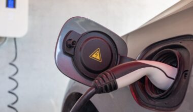 Pendant que le marché hésite, la voiture électrique signe un nouveau record en Europe