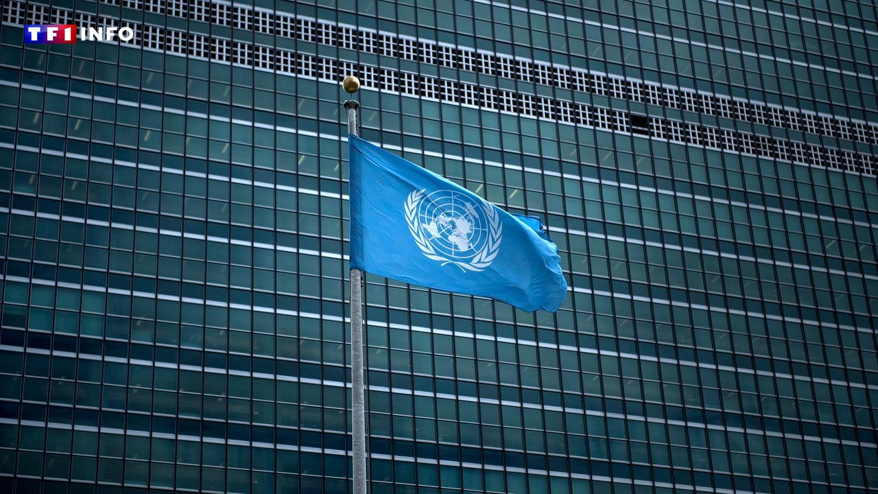 EN DIRECT - Ukraine : le Conseil de sécurité de l'ONU se réunit après de nouvelles frappes russes