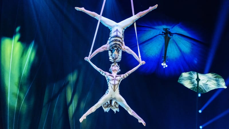 Le show dure presque deux heures.