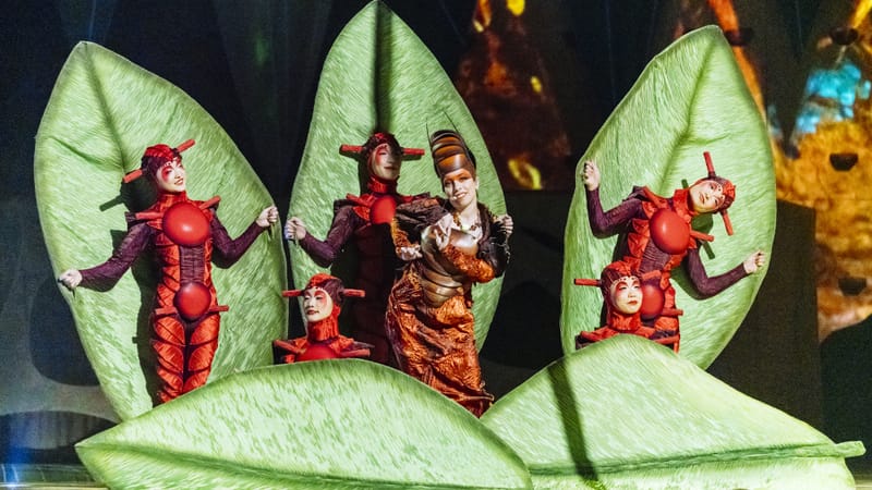 Sur scène depuis 2009, le show a su se réinventer au fil du temps.