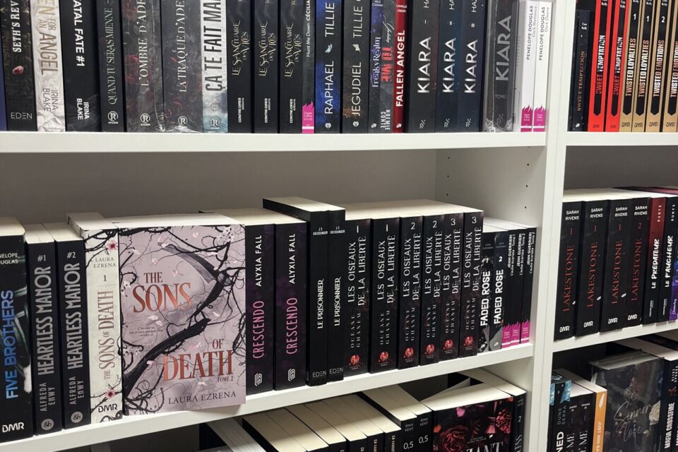 La dark romance, un sous-genre de la littérature sentimentale réservé à un public averti.