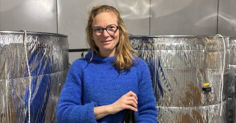 [Sur la table du réveillon] La fabrique du cidre bon pour la planète