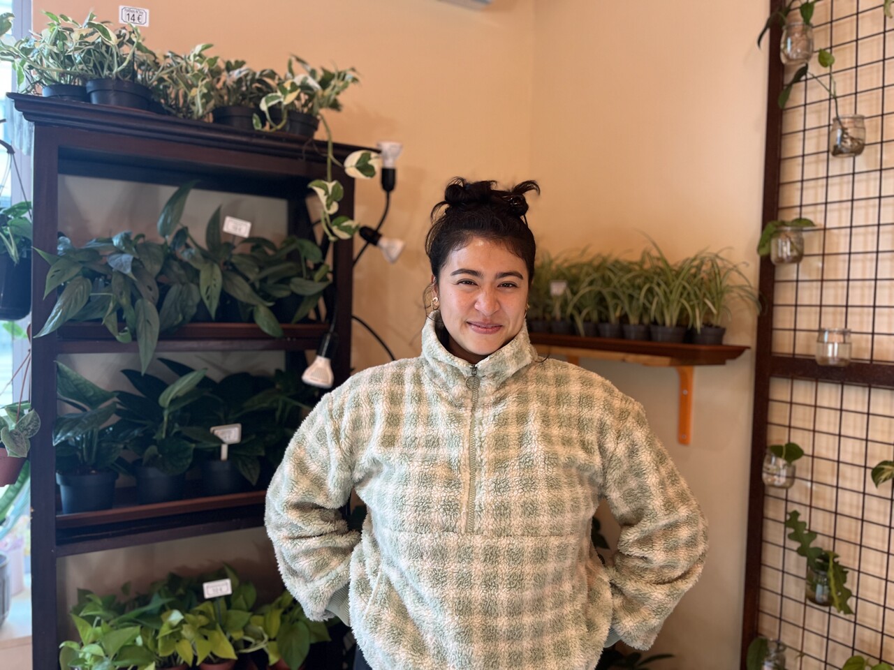 cette nouvelle adresse verte à Montpellier assume un choix différent des jardineries classiques