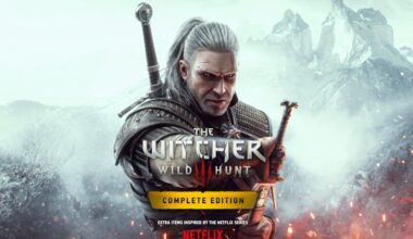 The Witcher 3 DLC Netflix