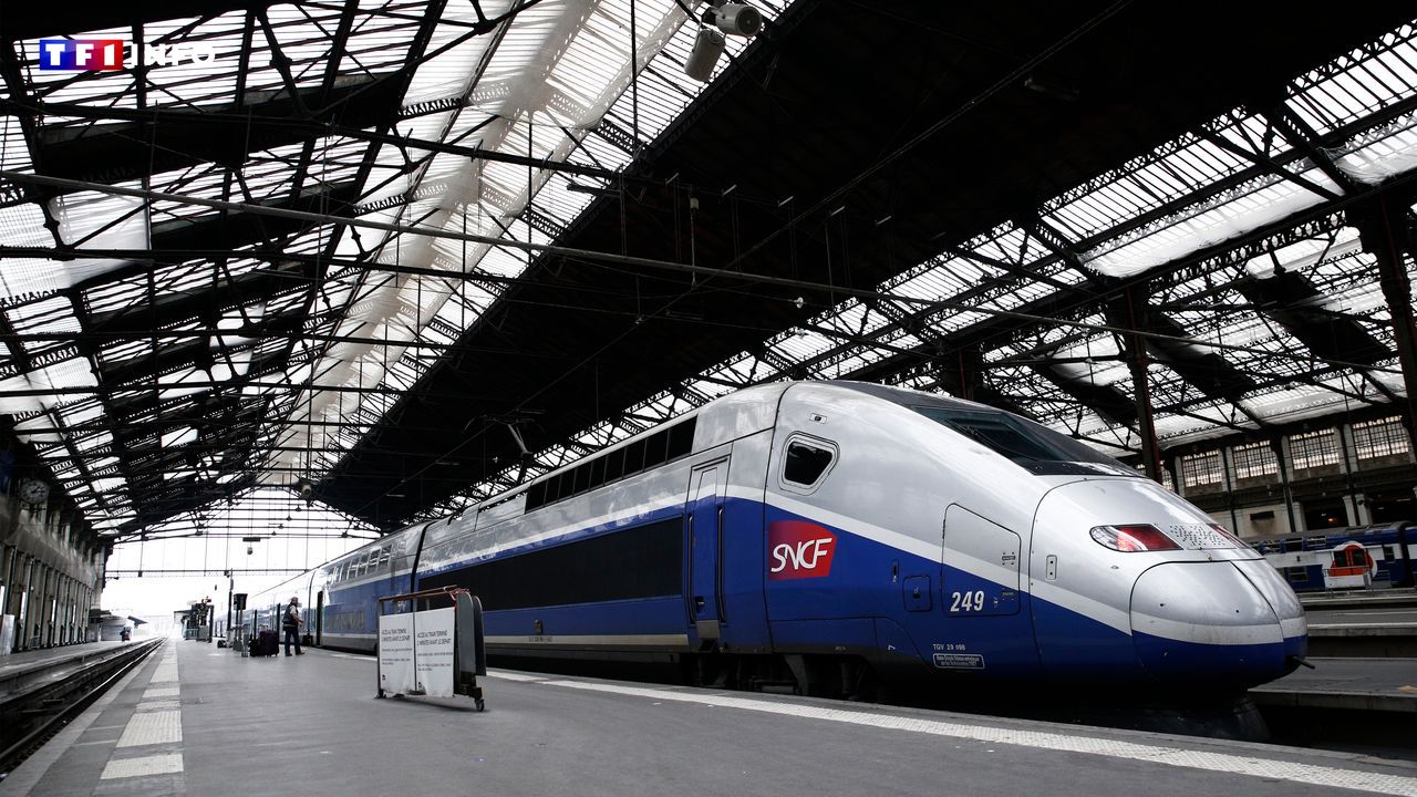 Grève SNCF : le trafic quasiment normal mardi, des perturbations à prévoir en Île-de-France et en Occitanie