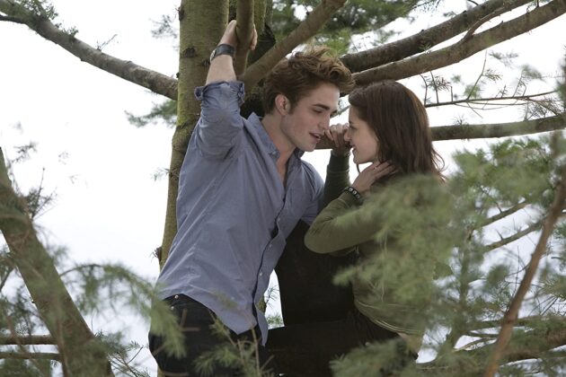 Twilight, chapitre 1 : Fascination : photo