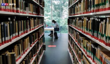 Procès "du bizutage" à Lille : que dit la loi sur ces pratiques qui perdurent dans l'enseignement supérieur ?