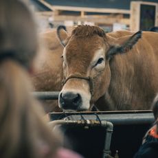 Edouard Monfrais-Albertini / Hans Lucas / Hans Lucas via AFP