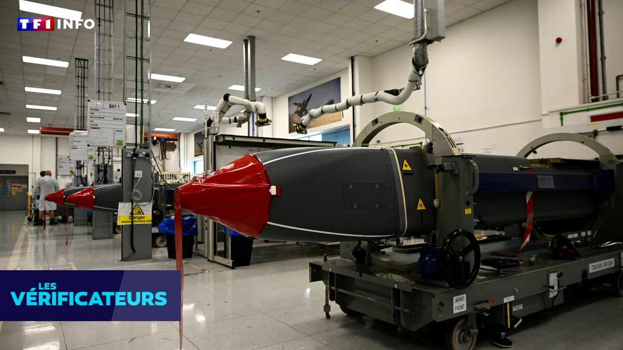 VÉRIF' - La France s'est-elle réellement opposée à l'achat par l'Ukraine "de missiles britanniques" ?