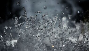 Quatre nouveaux cours d’eau franciliens sous surveillance
