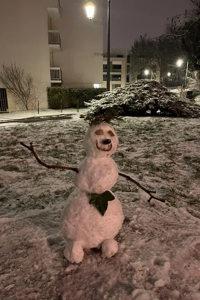 Un bonhomme de neige rémois à côté de la butte Saint-Nicaise, photographié au petit matin, le mardi 06 janvier 2026.