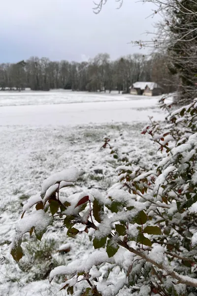 Des branchettes couvertes de neige au parc de Champagne, le mardi 06 janvier 2026.
