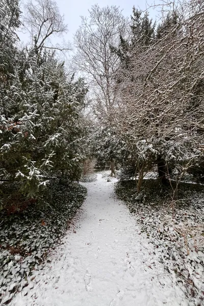 Les allées immaculées du parc de Champagne, le matin du mardi 06 janvier 2026.