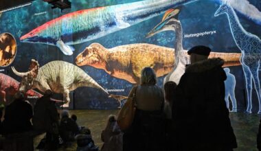VIDÉO. À Paris, des dinosaures géants envahissent l’Atelier des Lumières avec une expérience immersive inédite