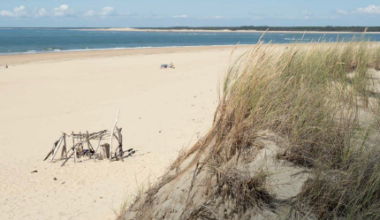 La migration avortée des Helvètes explorée en photographies au Musée romain d'Avenches