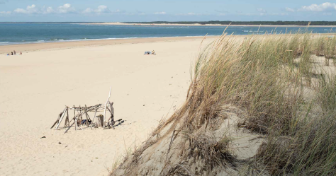 La migration avortée des Helvètes explorée en photographies au Musée romain d'Avenches