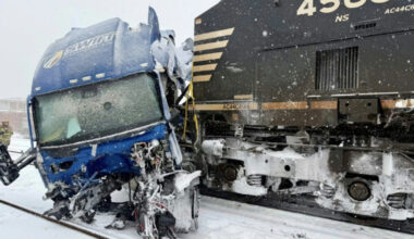 Tempête aux Etats-Unis: les transports désorganisés, des iguanes tombent des arbres - 01/02/2026 à 22:21
