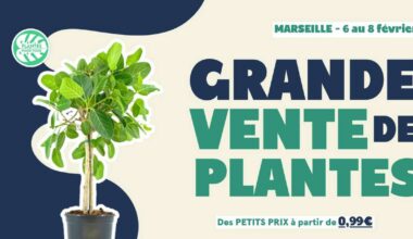 La grande vente de plantes revient rue de la République : trois jours pour transformer ton appart en jungle urbaine