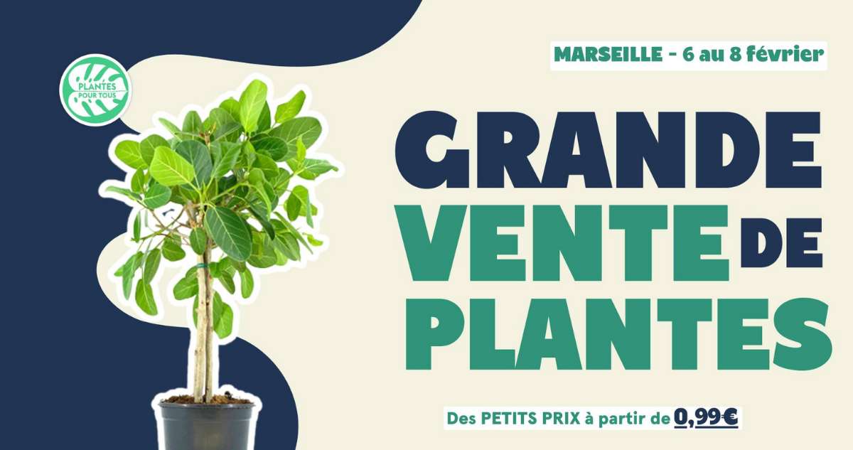 La grande vente de plantes revient rue de la République : trois jours pour transformer ton appart en jungle urbaine