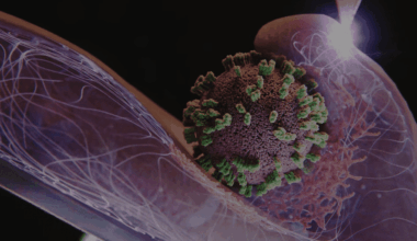 Pour la première fois, des chercheurs capturent en direct l’attaque d’une cellule par le virus de la grippe