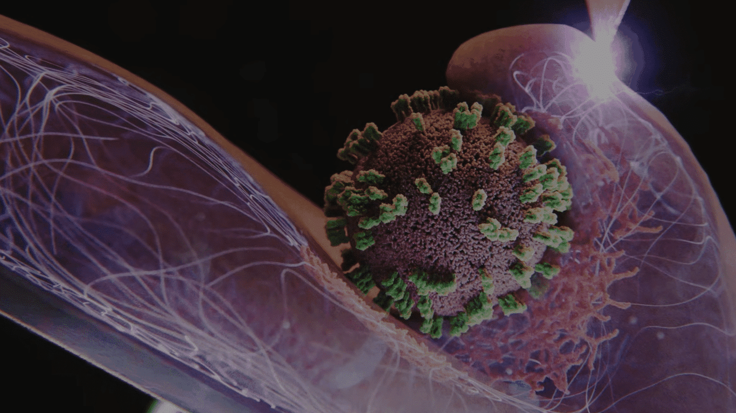 Pour la première fois, des chercheurs capturent en direct l’attaque d’une cellule par le virus de la grippe