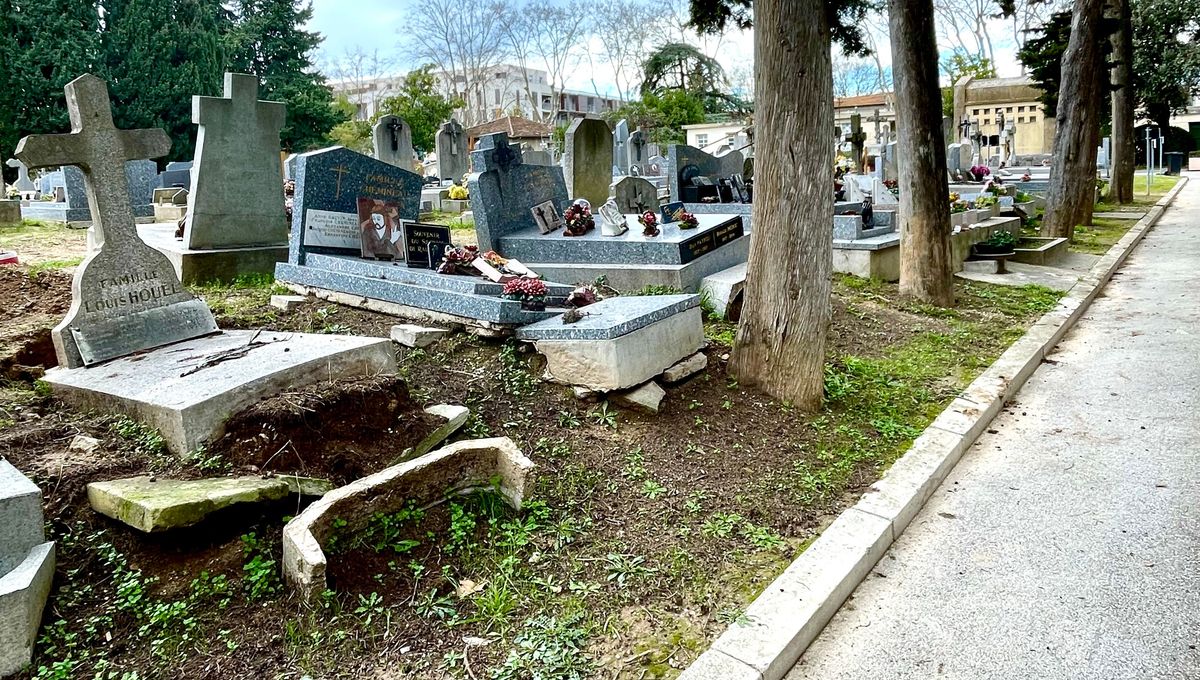 illustration agrandir l