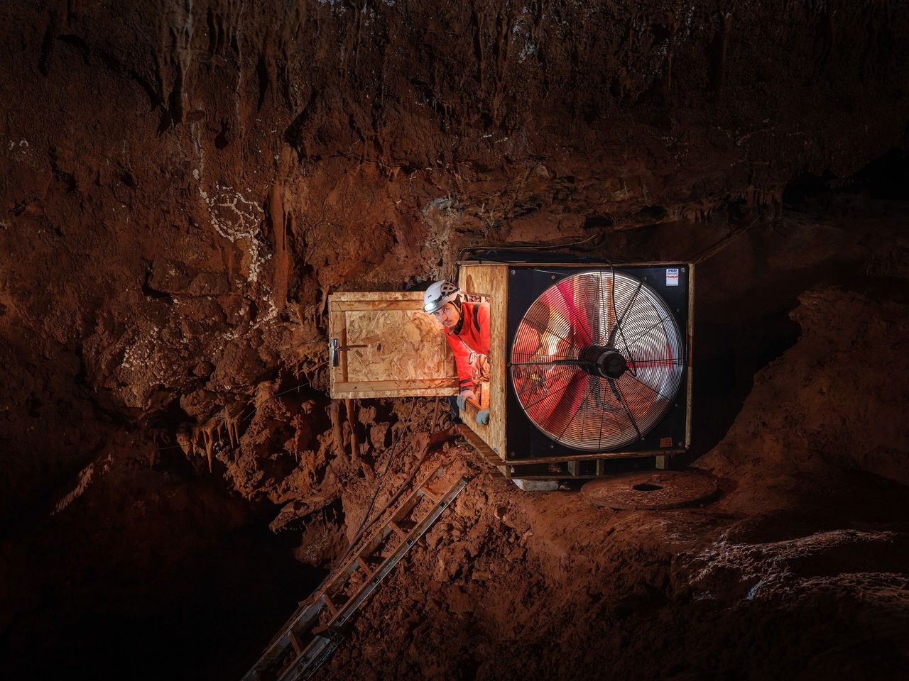 illustration agrandir l'image