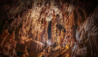 illustration agrandir l