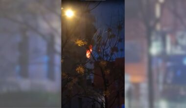 "Allô, il y a le feu chez moi" : seule dans l’appartement, une fillette de 10 ans appelle les pompiers pour déclarer un incendie à Montpellier