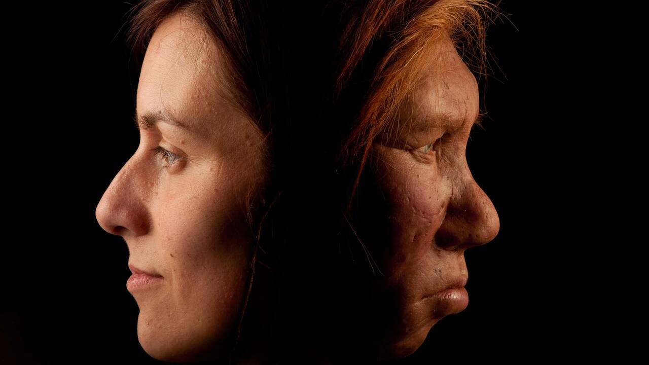 Les dessous de la reproduction sexuelle entre Neandertal et «Homo sapiens» dévoilés grâce à la génétique
