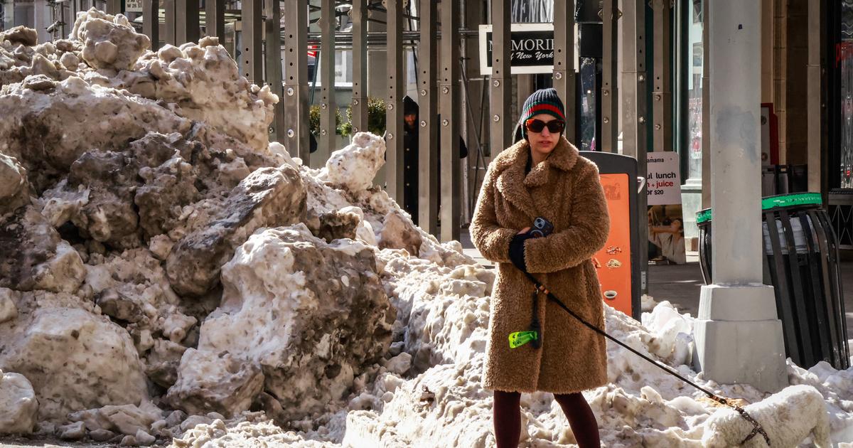 Touchée par une exceptionnelle vague de froid, la ville de New York déplore 13 morts d'hypothermie