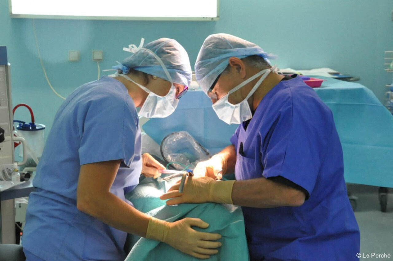 Le CHU de Lille importe une innovation venue des Etats-Unis pour la chirurgie des oreilles des enfants